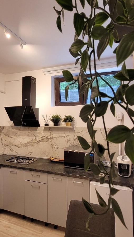 Luxury Mansion Apartment Bucharest Luaran gambar