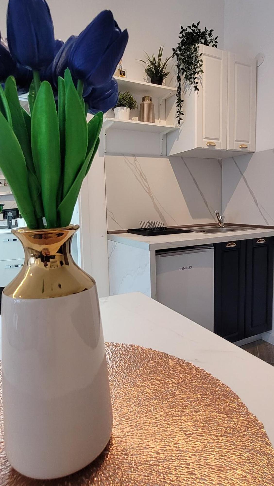 Luxury Mansion Apartment Bucharest Luaran gambar